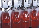 Bottle filling machine